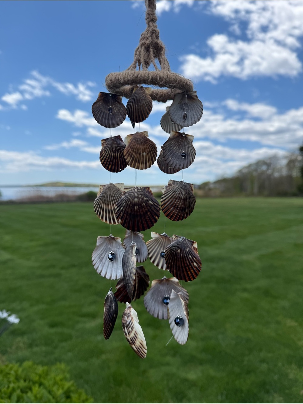 Handmade Brown Shell Wind Chime for Birds - Natural Coastal Décor